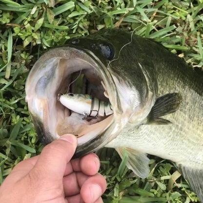 Bionic Lure —Catch Big Fish Fast!