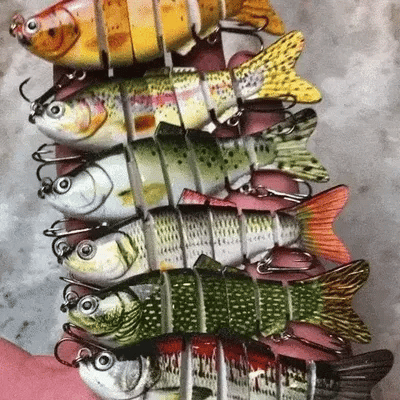 Bionic Lure —Catch Big Fish Fast!